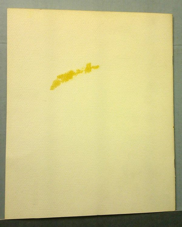 Digital Camera | Merrick Auto Museum