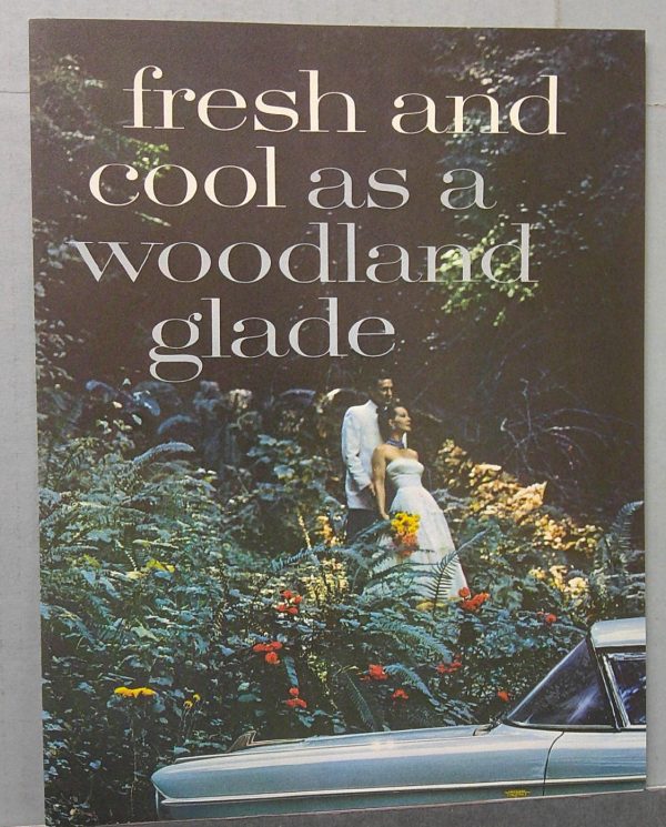 Digital Camera | Merrick Auto Museum