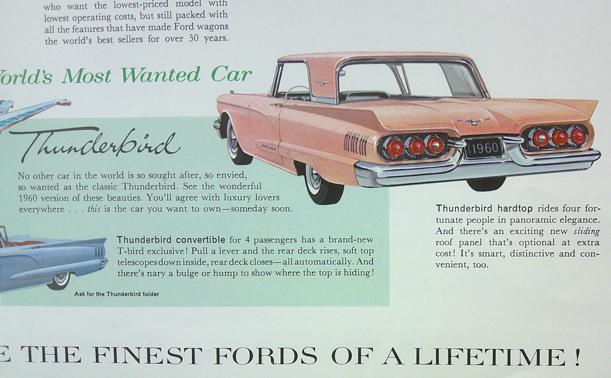 Digital Camera | Merrick Auto Museum